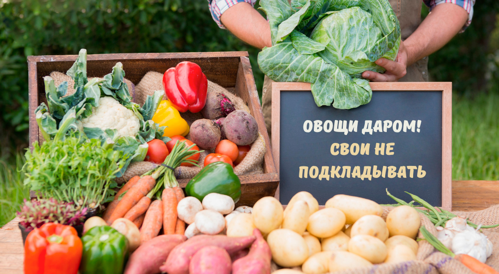 foodsharing в Беларуси.png foodsharing в Беларуси.png